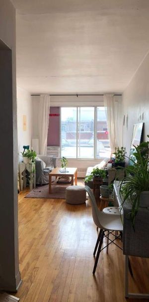 Studio - Montréal - $1,150 /mo - Photo 1