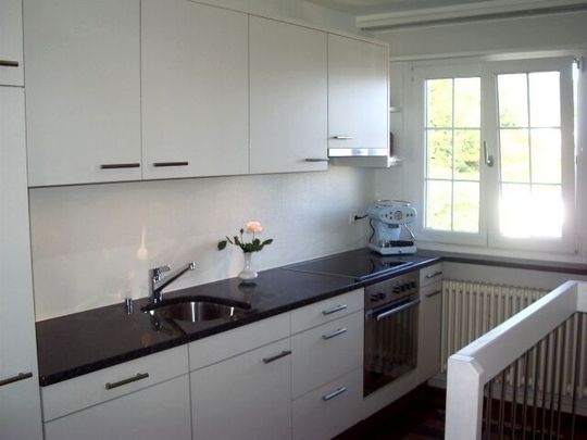 31/2-ROOM COTTAGE APARTMENT IN LIESTAL (BL), FURNISHED - Photo 1