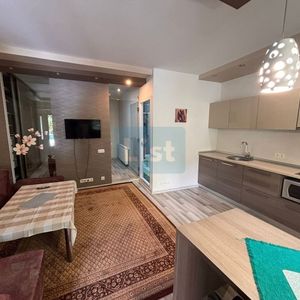 Apartament cu o cameră și nișă de dormit de închiriat, Plopilor - Fotografie 2