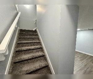 1 Bed 1 Bath BSMT Suite McConachie For Rent - Photo 6