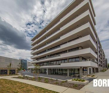 19/44 Macquarie Street, Barton ACT 2600 - Apartment For Rent | Domain - Photo 6
