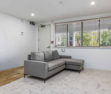 Furnished Studio in Prime Grey Lynn - Photo 3