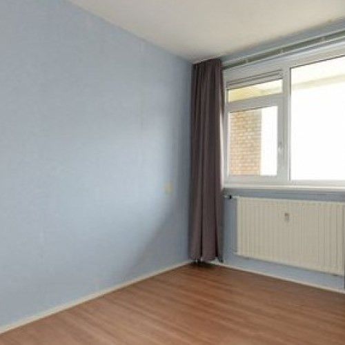 Wezelrade 0ong, 2544 Den Haag, Nederland - Foto 1