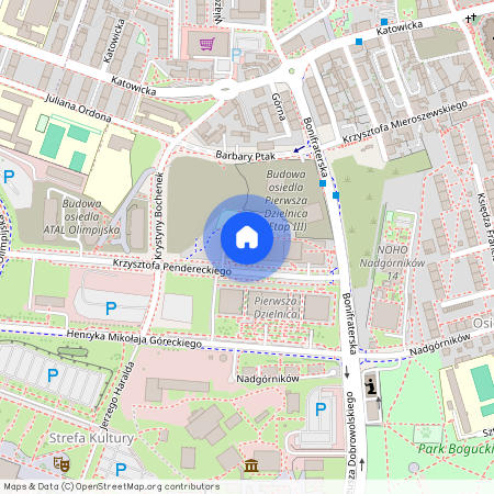 ul. Henryka Mikołaja Góreckiego, Bogucice, Katowice, śląskie