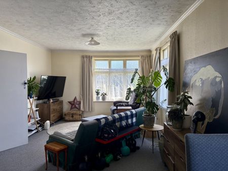 15 Tudor Street, Motueka, Motueka - Photo 4