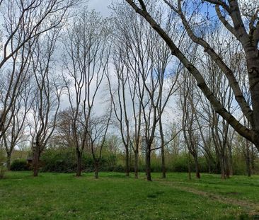 Nutzen Sie unsere Herbstaktion!!! - 3. OG links - Photo 5