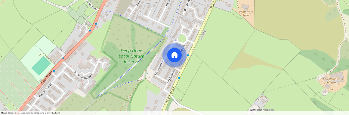 Lily Gardens Dipton, Stanley