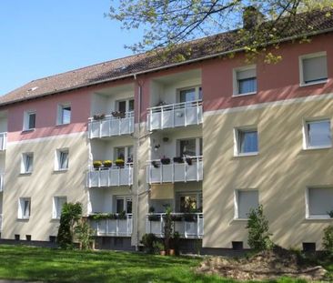 Ihre neue Wohnung: ansprechende 2-Zimmer-Wohnung - Foto 1