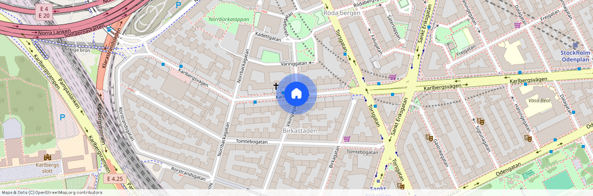 Vikingagatan, Stockholm