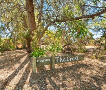 16/12 Wilkins Street, Mawson ACT 2607 - Apartment For Rent | Domain - Photo 3