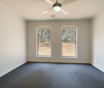 19 Palmerston Street, Newstead - Photo 2