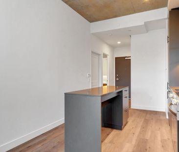 For Lease - 10 James Street Unit# 206, Ottawa Centre, Ontario - Photo 6