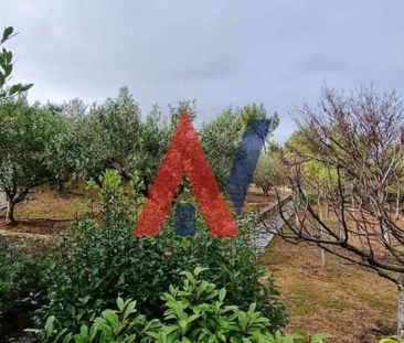 Βίλα για ενοικίαση Παλλήνη - Photo 4