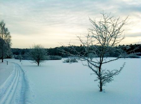 Välplanerad villa i barnvänligt område - Photo 2