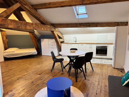 Location Appartement 1 pièce 58m² ROMANS SUR ISERE 26100 - Photo 3
