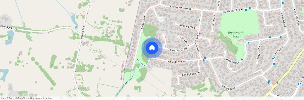 33 Culverdon Street, Dinsdale, Hamilton City