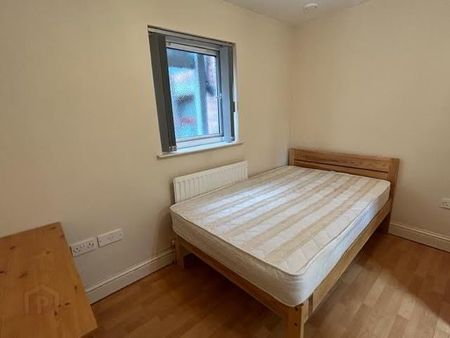 Upstairs Apartment, 80c Fitzroy Avenue, Queens ~ Botanic Area!, Belfast, BT7 1HY - Photo 4
