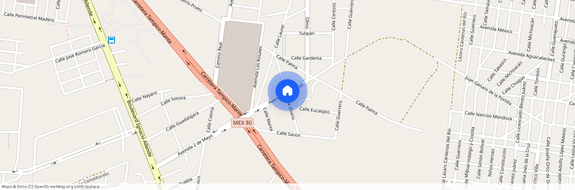 Ebano, Alameda, Altamira, Casa, Tamaulipas