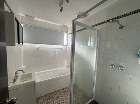 Elegant Elder - Photo 2