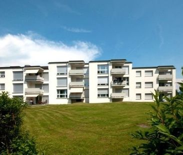 Genau das Richtige für naturverbundene Stadtmenschen - Foto 3