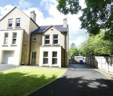 44 St James Park, Ballymoney, BT53 6FD - Photo 6