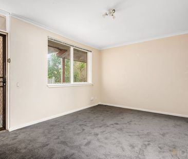 Central Village Lifestyle - Photo 1