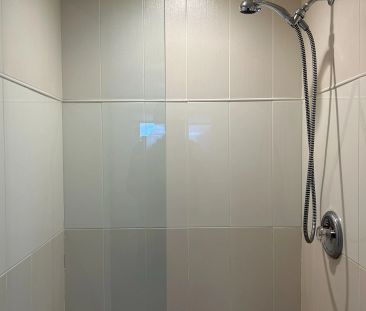 2 Citation Dr Drive #Basement - Photo 6