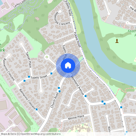 3 Moreland Avenue, 3200, Pukete