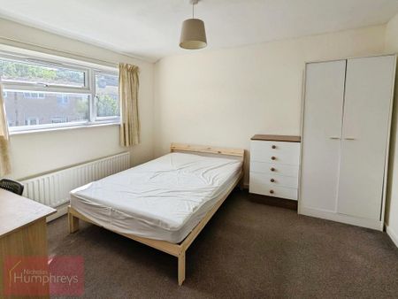 4 bedroom house share to rent - Photo 3