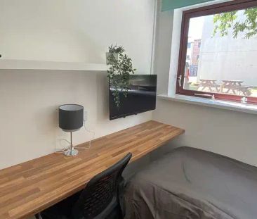 Ensuite Room (Gold-B) - Photo 5