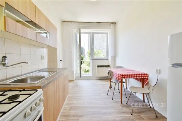 Pronájem bytu po rekonstrukci 1+1 s balkónem, 42 m - Fotografie 1