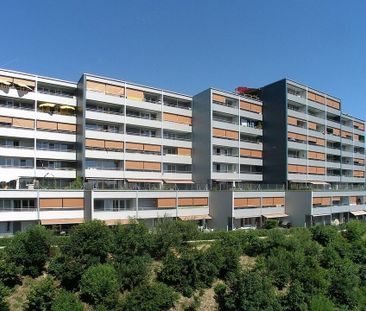 Cherchez-vous un lodging proche du Chuv et de l’autoroute ? - Photo 2