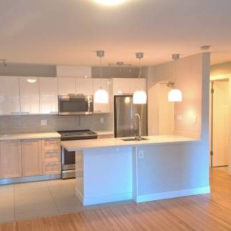 1 bdrm apartment for rent January 1 2025 $2400 - Photo 3