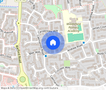 Pembroke Avenue, Eynesbury, PE19 - Photo 1