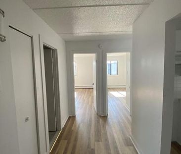 GRAND ET LUMINEUX 4.5 RÉNOVÉ DISPONIBLE 1er AVRIL 2025 - Photo 4