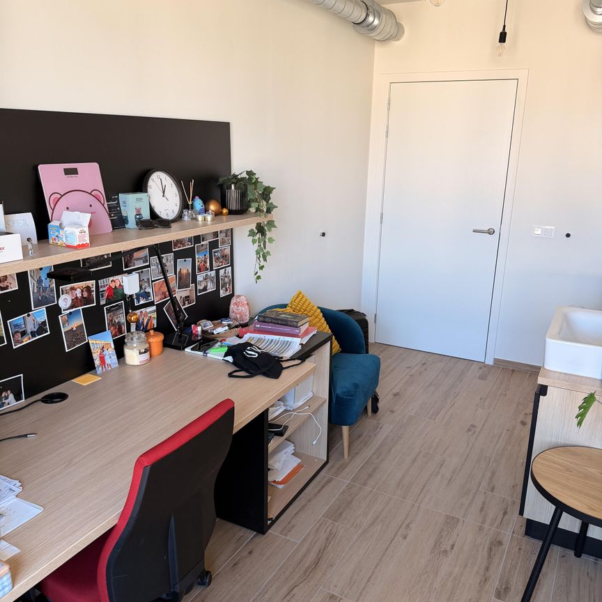 — Brus­sels­epoort­straat - Photo 1