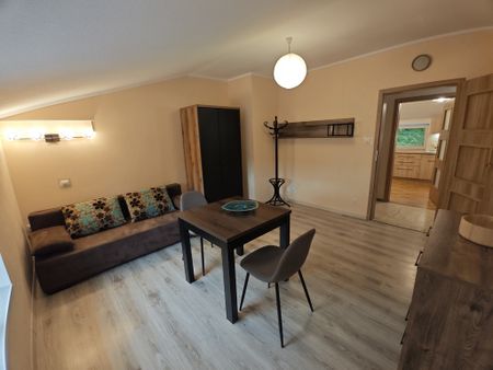 Stobno - ładne, duże mieszkanie po remoncie! 85m2 - Photo 4