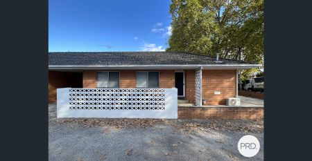 CENTRAL ALBURY LIVING! - Photo 4