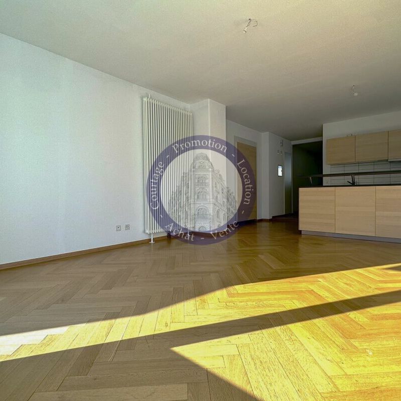 LUMINEUX AVEC GRAND BALCON-TERRASSE - Foto 1