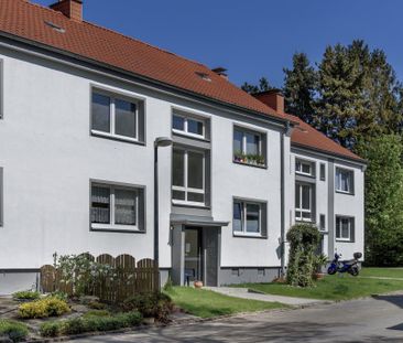 2-Zimmer-Wohnung im Erdgeschoss mit neuem Duschbad und Balkon - Photo 1