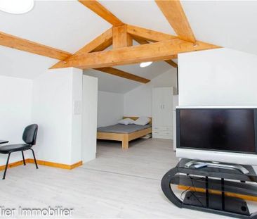 Location Appartement 1 pièce 28m² CHATTE 38160 - Photo 5