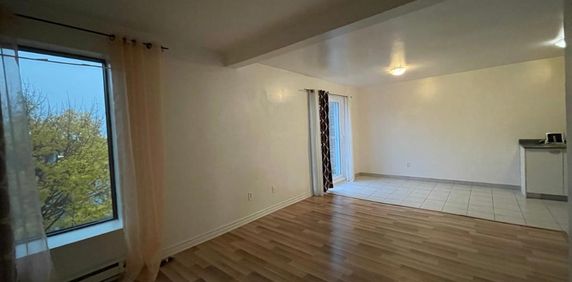 1 1/2 libre maintenant à Sainte-Catherine (Rive-Sud de Mtl) - Photo 2