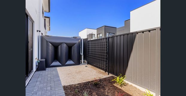15 Alma Terrace, Seaton – Modern, Brand New Living - Photo 1