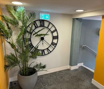 Redcliffe Backs - Photo 3