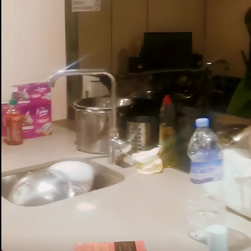 1 bed 1 bath*1502 - Photo 1