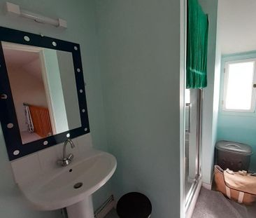 A LOUER APPARTEMENT T2 DUPLEX LAVAL - Photo 5