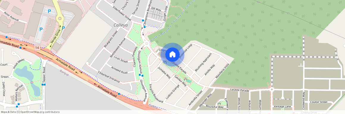 45 Lycaste Parade, WA 6164, Treeby