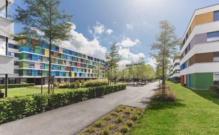 3 ½ Zimmer-Wohnung in Schwerzenbach mieten - Photo 5