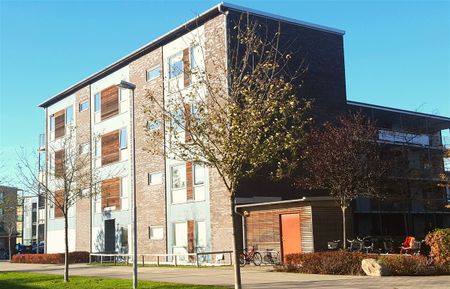 Skräddarebyn, Bunkeflostrand - Foto 5