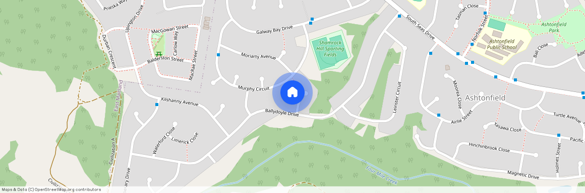 5 Castlemaine Close, NSW 2323, Ashtonfield